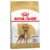 Royal canin boxer adult